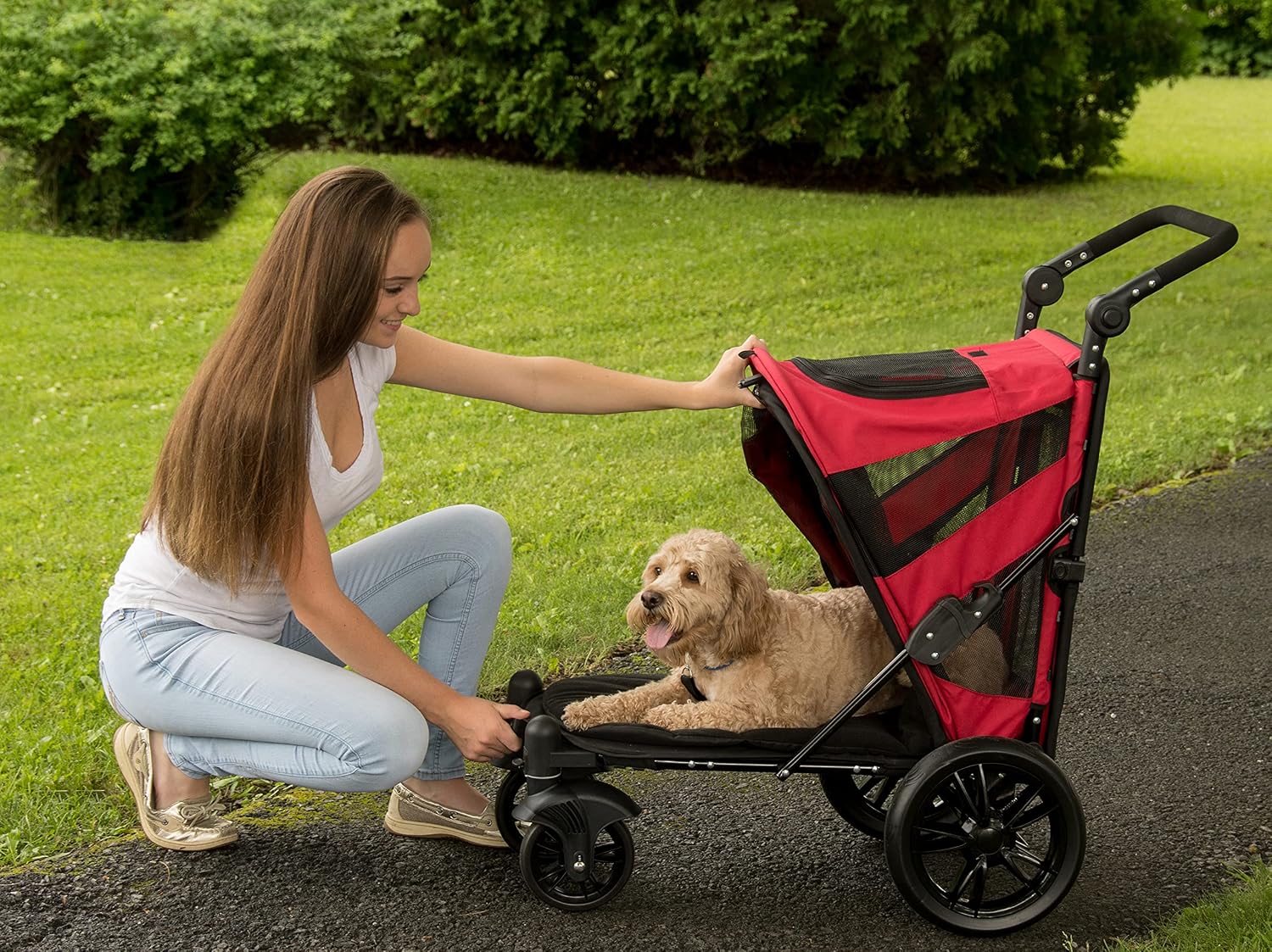 Pet Gear NO-Zip Pet Stroller with Dual Entry, Push Button Zipperless Entry for Single or Multiple Dogs/Cats, Pet Can Easily Walk in/Out, No Need to Lift Pet, Gel-Filled Tires