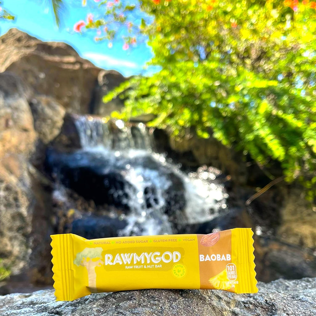 RAWMYGOD Fruit and Nut Bars, Gluten Free, Vegan, No Added Sugar (20 bars, Baobab)