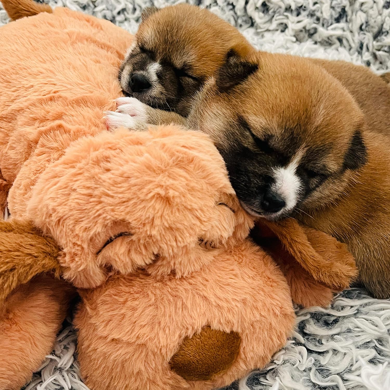 Snuggle Puppy Heartbeat Toy, Calming Comfort, Medium Breeds - Biscuit