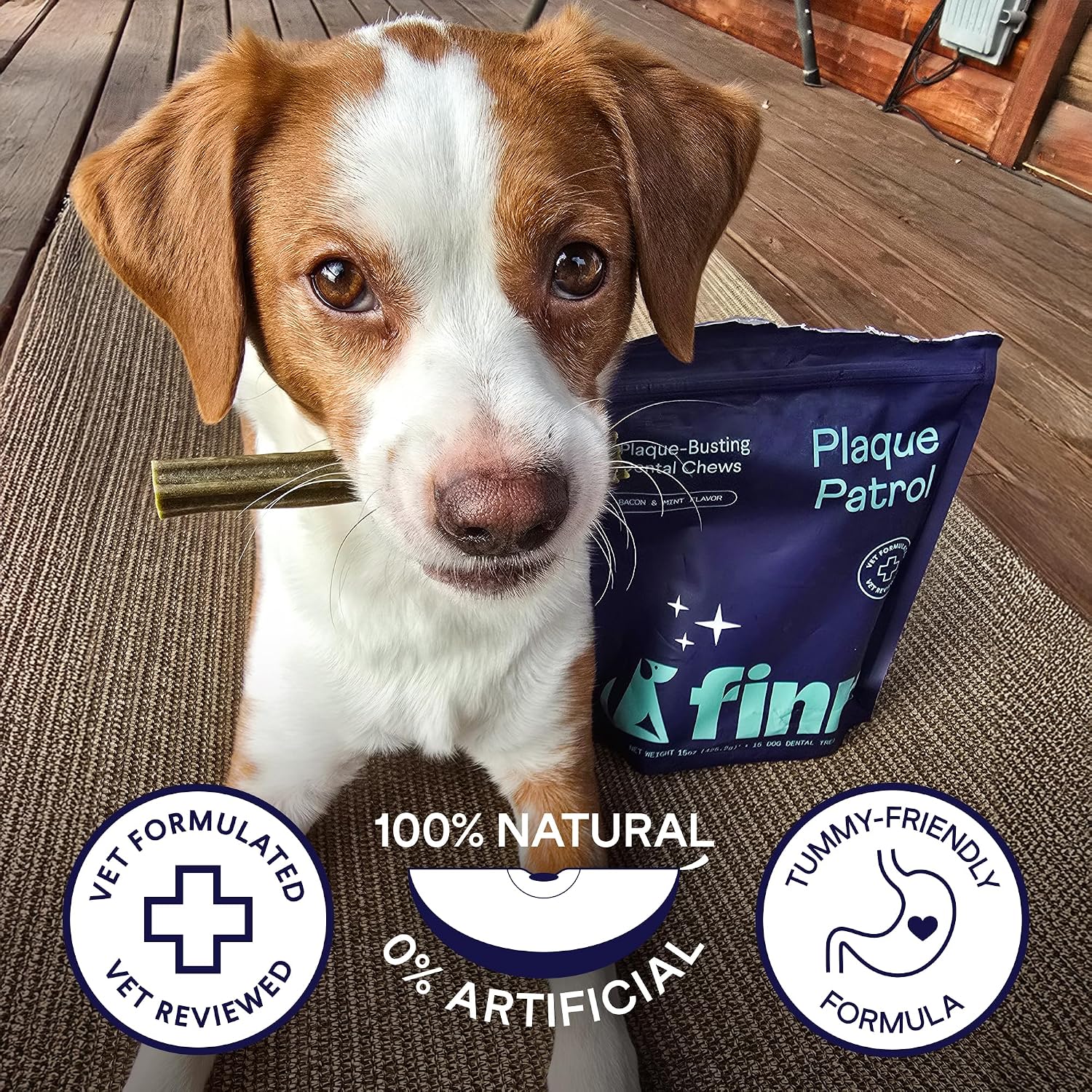 Finn Plaque Patrol Dental Chews - Fights Tartar & Bad Breath - Small Dogs