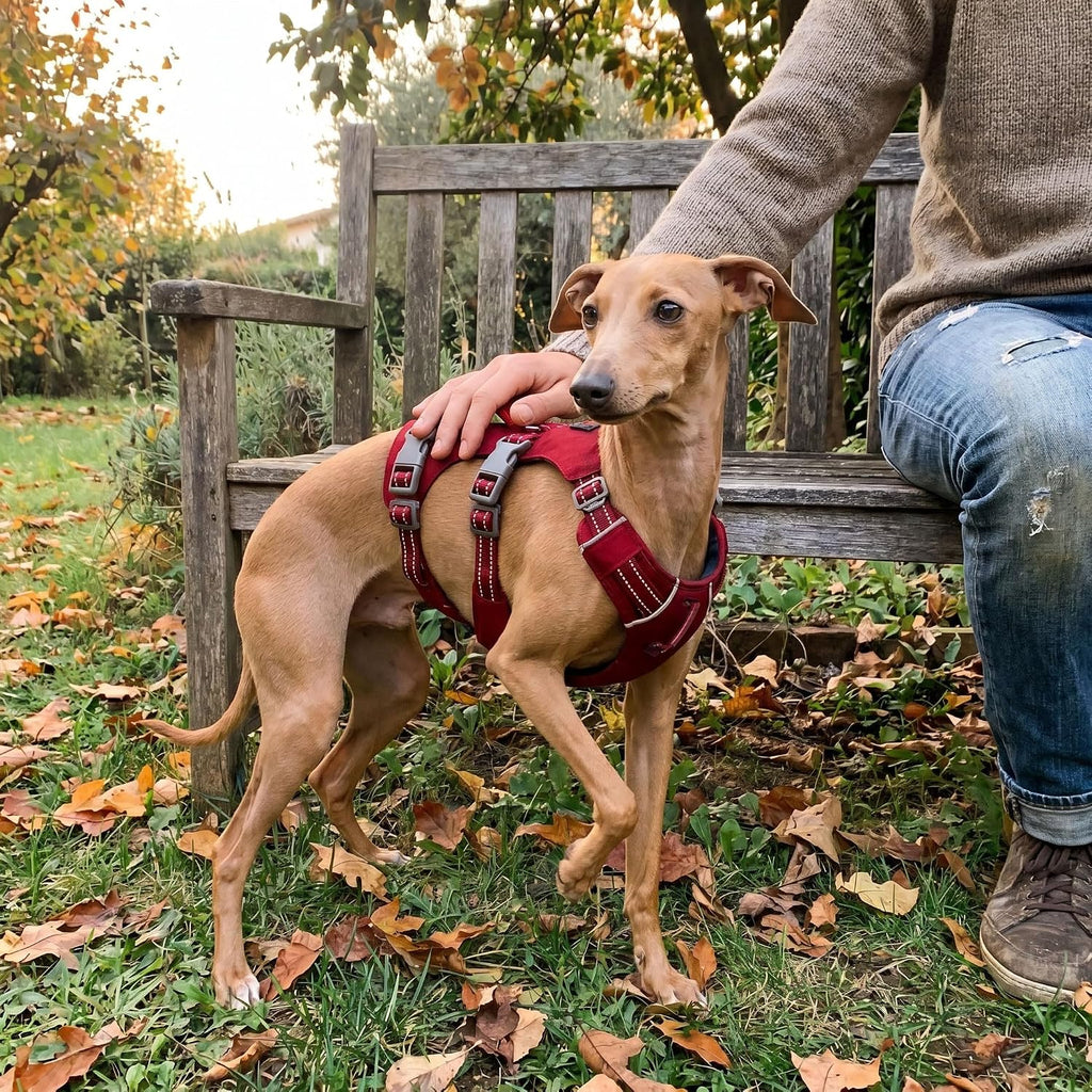 Tuff Pupper Escape Proof Dog Harness for Extra Small Dogs | No Pull Lightweight Adjustable Harness | No Escape Multifunctional Outdoor Pet Gear | Strong Durable Breathable | Secure Comfortable Fit
