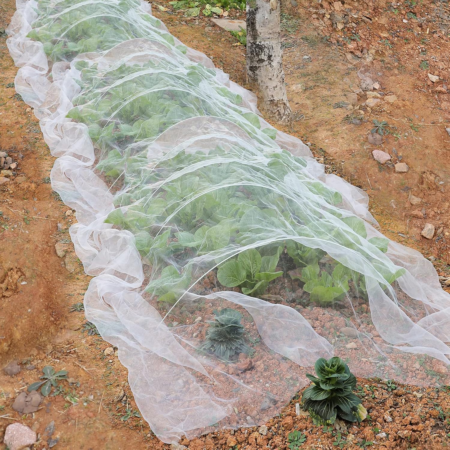 10 X 50FT Garden Mesh Netting Barrier,Fruit Tree Plant Netting