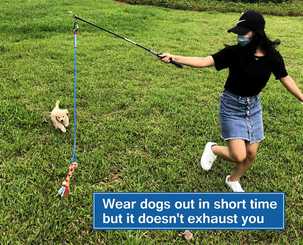 Interactive Flirt Pole Toy for Dogs Chase,Outdoor Exercise,Agility Training