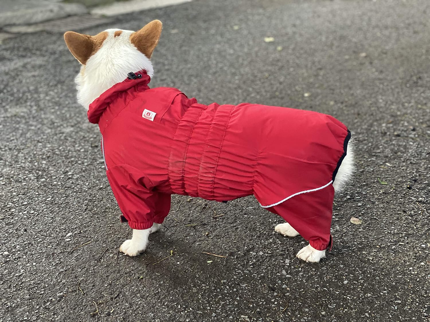 Lovelonglong Waterproof Dog Raincoat – 4-Leg Full Body Dog Rain Suit with Reflective Strips & Leash Opening, Outdoor Dog Jacket for Rainy Weather
