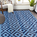 SAND MINE Reversible Mats, Plastic Straw Rug, Modern Area Rug, Large Floor Mat and Rug for Outdoors, RV, Patio, Backyard, Deck, Picnic, Beach, Trailer, Camping, Blue, 5' x 8'