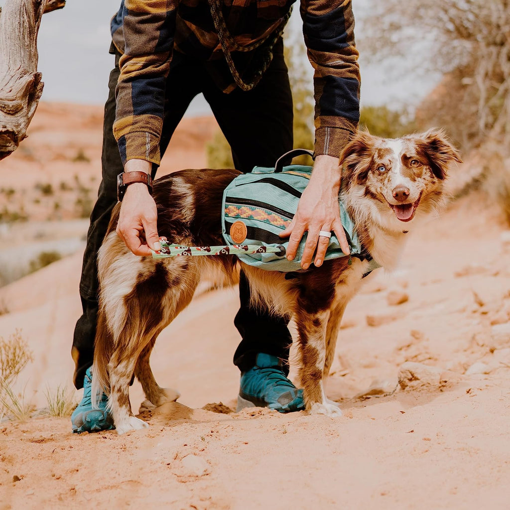 Widlerdog Dog Backpack with Built in Harness and Back-Mounted D-Ring Leash Attachment, Handle, Two Saddlebags with 4 Total Pockets, Built in Poop Bag Dispenser (Seafoam Green, Medium)
