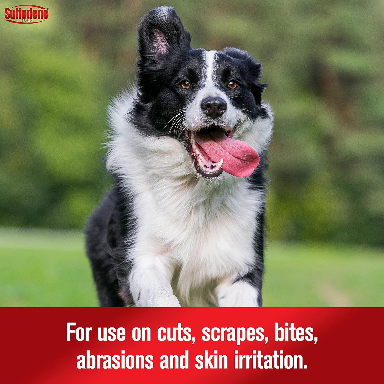 Sulfodene Wound Care 3-Way Ointment for Dogs & Puppies, Soothes Cuts, Scrapes, Skin Irritation, and Redness, First Aid Relief that Supports Skin Healing and Comfort, 2 oz