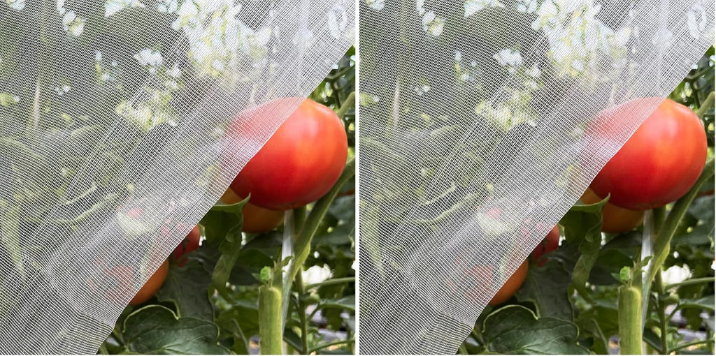 Garden Netting 10x20ft - Ultra Fine Insect Netting for Plants Trees