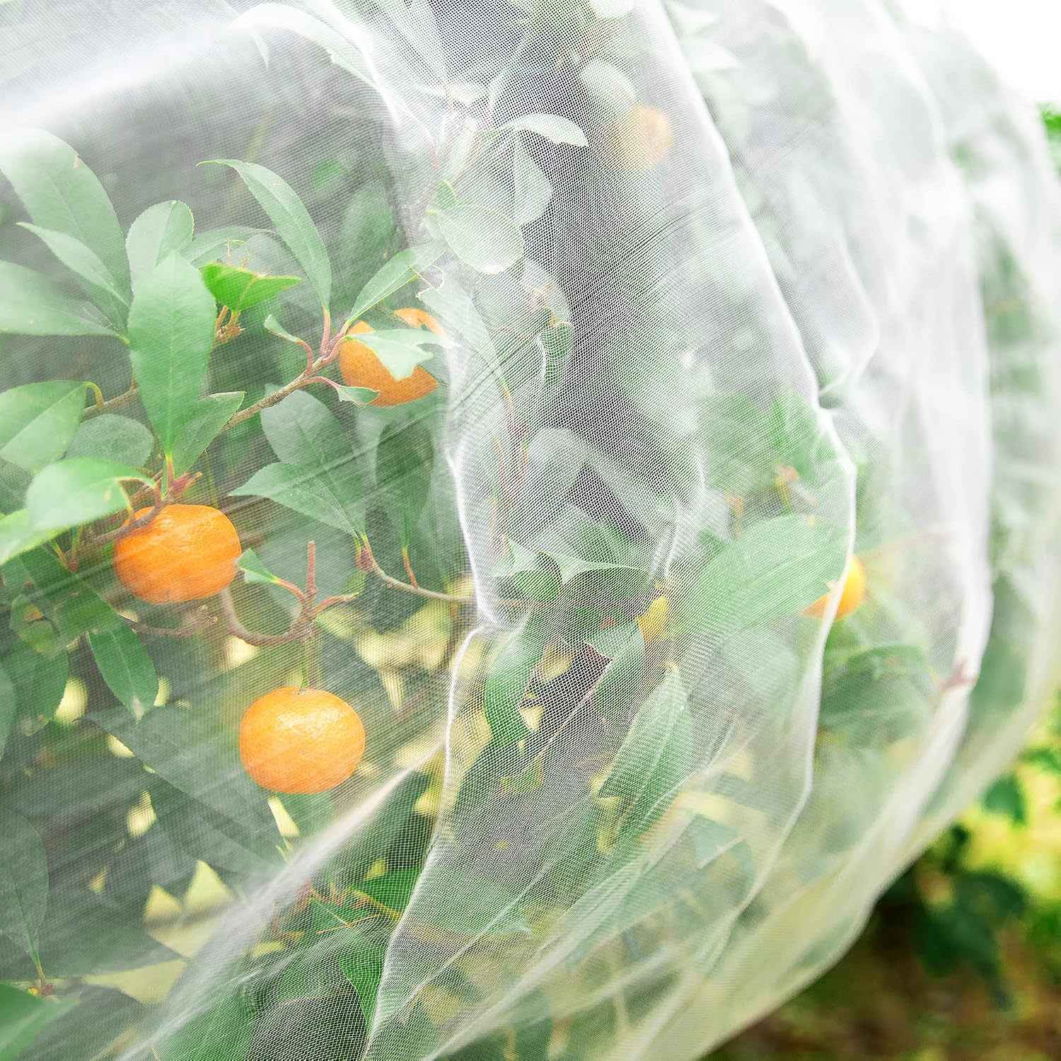 Alpurple Insect Bird Barrier Netting Mesh- 20 x 10 Feet Garden Bug Netting Plant Cover for Protect Plant Fruits Flower from Insect Bird Eating