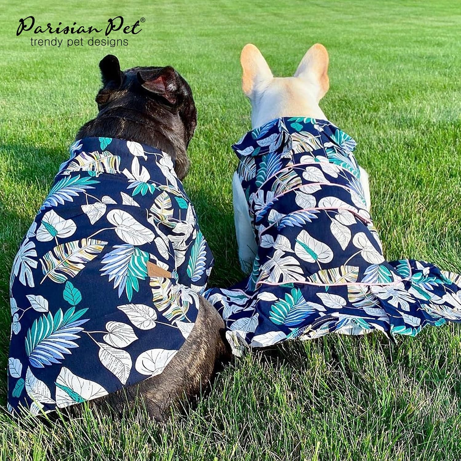 Parisian Pet Palm Leaves Dog Shirt - Cotton Clothes for Medium Dogs - Stylish Tropical Dog Outfit - Lightweight and Soft Puppy Clothes - Trendy Tshirts for Dogs - Comfortable Summer Camp Pet Apparel