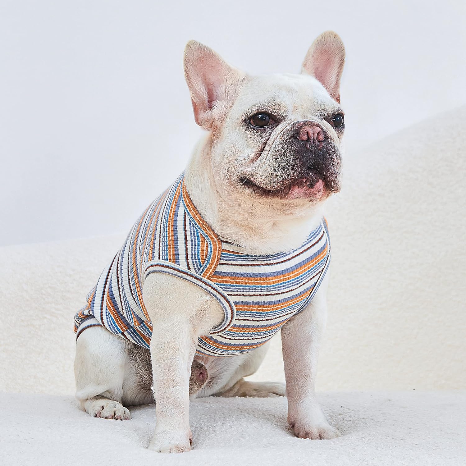 Dog Shirts Vest Cotton Striped T-Shirt, Sleeveless Stretchy Pet Clothes for Small Dogs, 2-Pack Soft Breathable Puppy Tank Top Cat Tee (X-Small, Blue,Yellow)