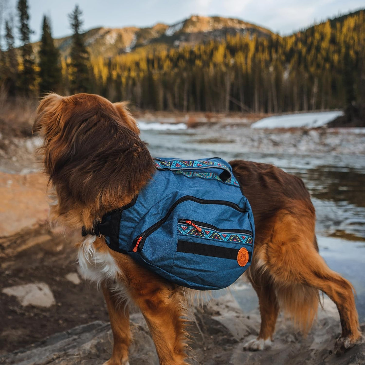 Widlerdog Dog Backpack with Built in Harness and Back-Mounted D-Ring Leash Attachment, Handle, Two Saddlebags with 4 Total Pockets, Built in Poop Bag Dispenser (Pacific Blue, Medium)