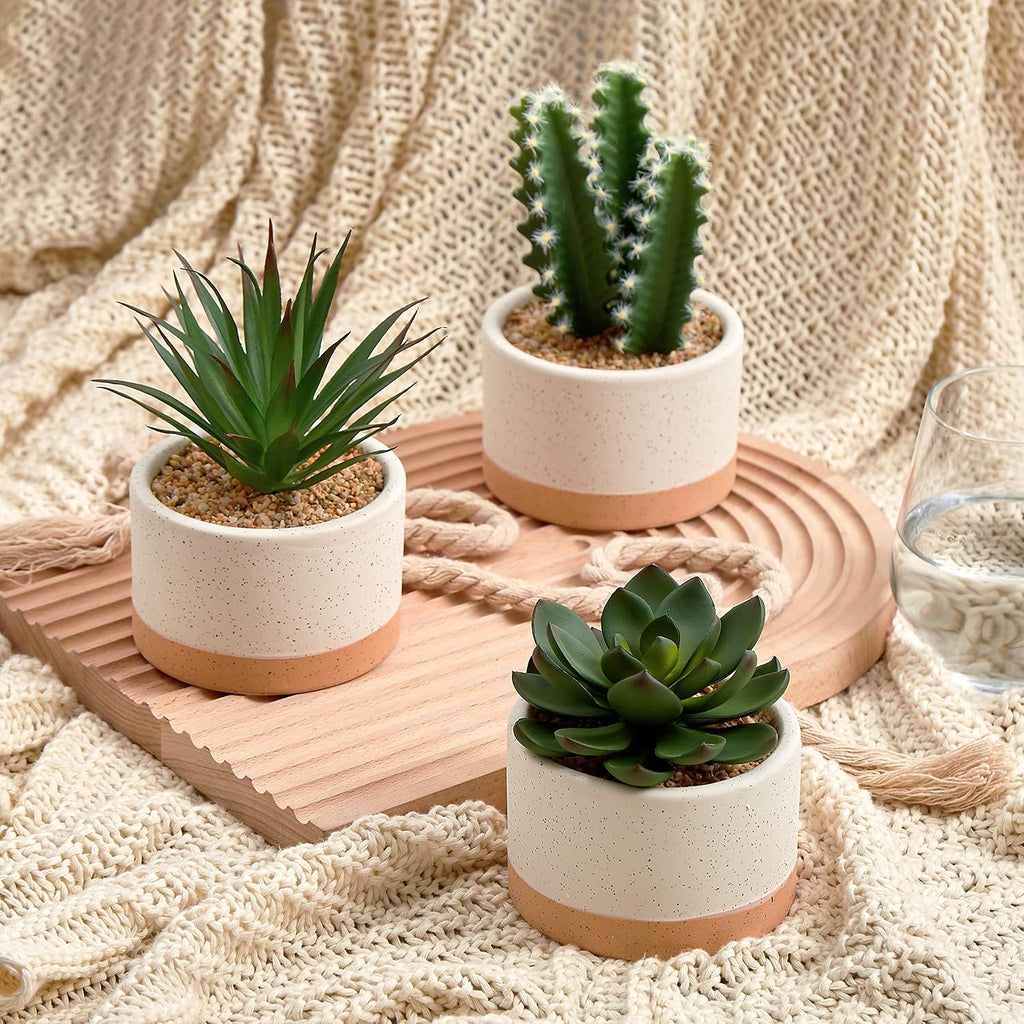 Artificial Succulent Plants in Ceramic Pots Set of 3