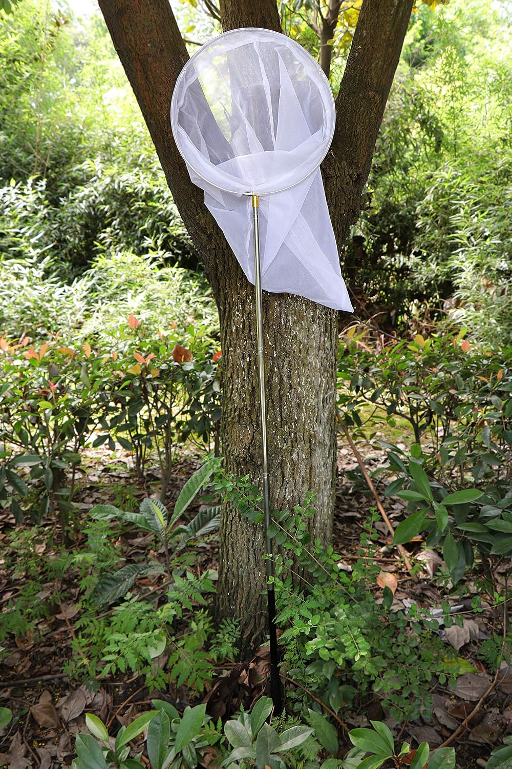 Professional Insect and Butterfly Net with 14" Ring, 26" Net Depth, 59" Telescopic Handle Full Extends to 73" Stainless Lockable