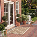 SAFAVIEH Washable Rug Outdoor Courtyard Collection - 2' x 3'7", Brown, Non-Shedding & Easy Cleaning, Ideal for Patio, Front Door, Entryway, Doormat (CY6243-242)
