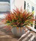 Ivydale 12Pcs Fake Plants Outdoor Artificial Plastic Grass Fall Decoration UV Resistant Faux Greenery Stems Bushes Outside Fake Plants for Planters Patio Porch Window Box Pathway Garden Home Decor