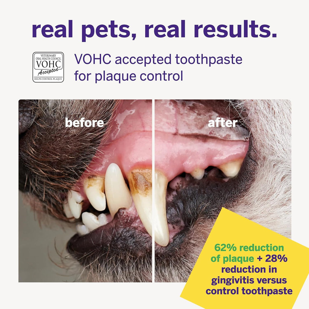 Petsmile VOHC Accepted Pet Toothpaste, London Broil 2.5 Oz, Cats + Dogs