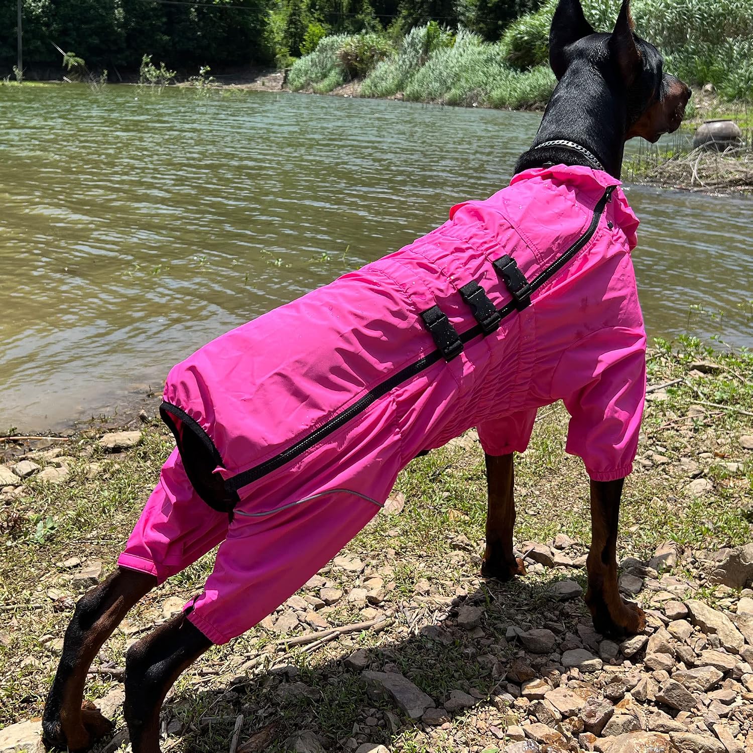 Lovelonglong Waterproof Dog Raincoat – 4-Leg Full Body Dog Rain Suit with Reflective Strips & Leash Opening, Outdoor Dog Jacket for Rainy Weather