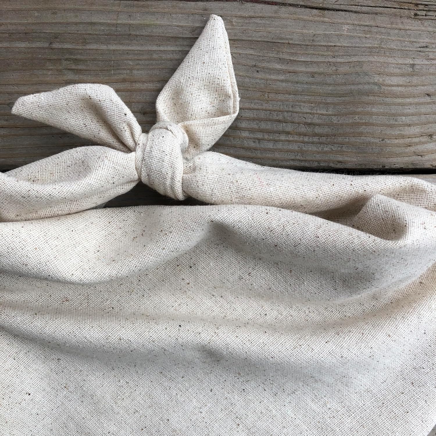 Dog Bandana Pregnancy Announcement Big Brother Baby Reveal Oatmeal Cream Minimal Neutral Color Announcement to Family (Large)