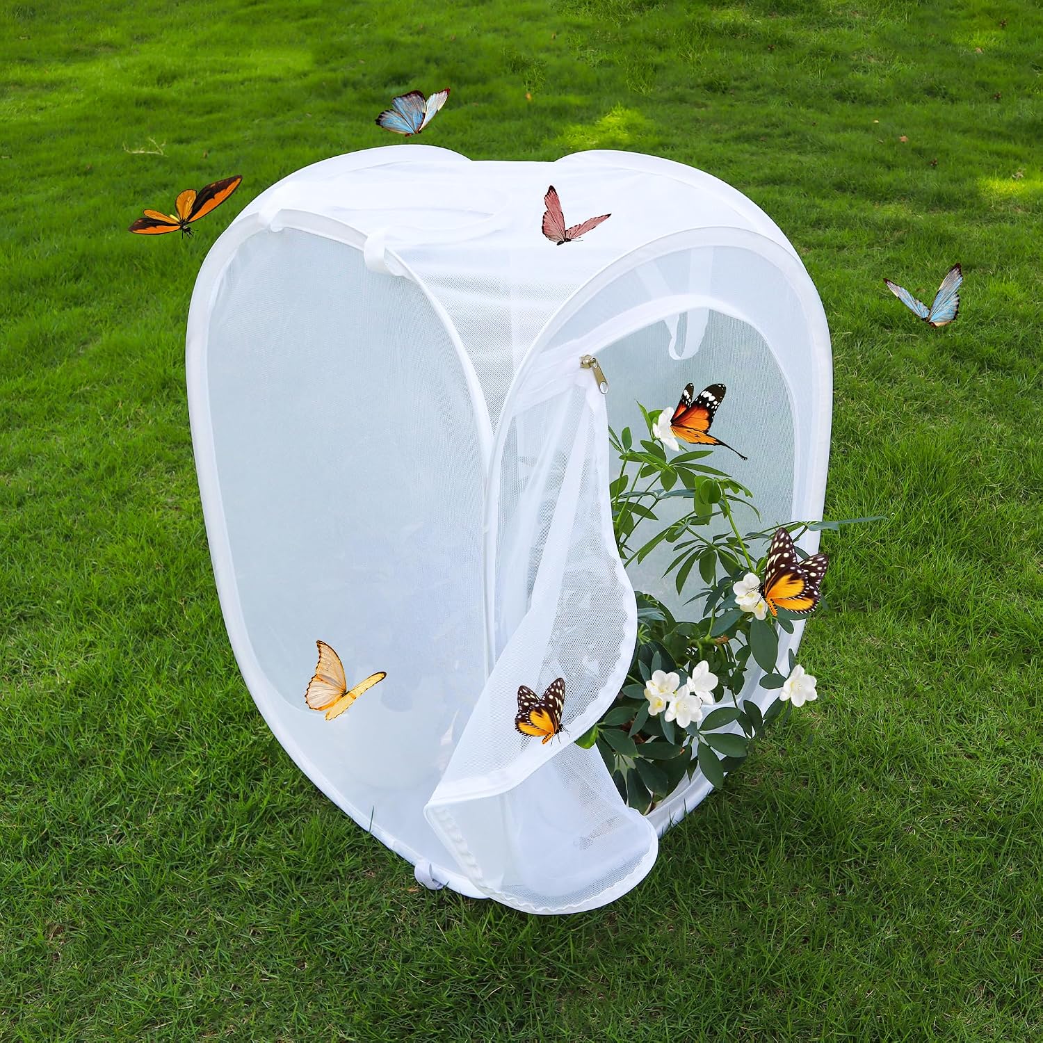 Pop‑up Butterfly Habitat Enclosure with High‑Clear PVC Panel & Fine Mesh