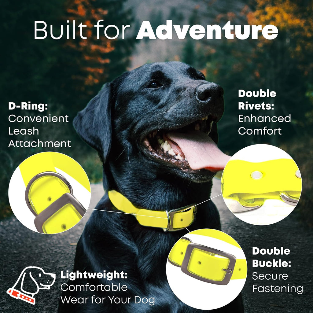 Regal Dog Products Waterproof Dog Collar, Nickel, Small Yellow & Leash