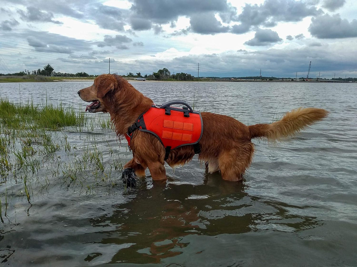 Bark Brite Multi-purpose Dog Backpack Life Jacket (Size Large)