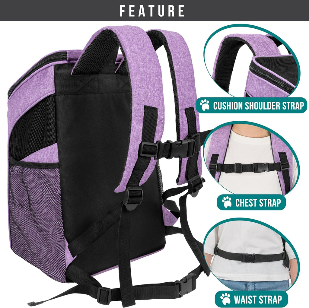 PetAmi Cat Backpack Carrier for Small Dogs and Large Cats, Airline Approved
