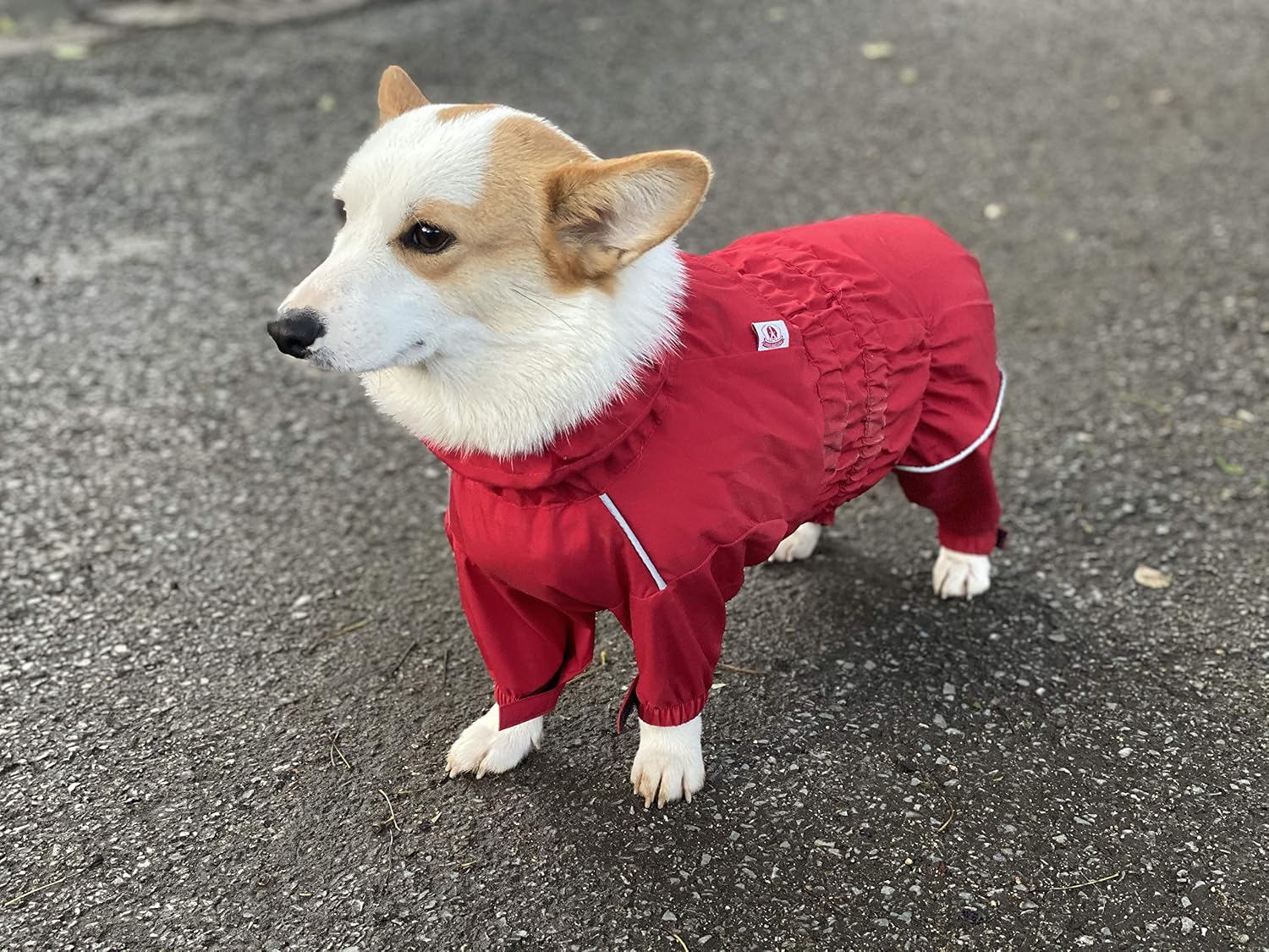 Lovelonglong Waterproof Dog Raincoat – 4-Leg Full Body Dog Rain Suit with Reflective Strips & Leash Opening, Outdoor Dog Jacket for Rainy Weather