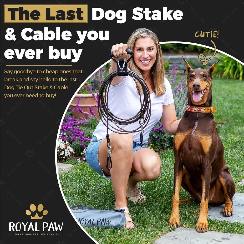 ROYAL PAW Dog Tie Out Cable and Stake 20ft - for Large Dogs up to 300 lbs - Heavy Duty Tether and Dog Stake for Yard, Beach & Camping Outside (Black, L/XL - 20ft)
