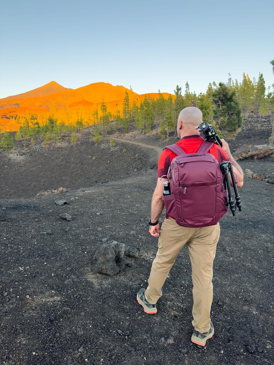 VANGUARD VEO Metro B25L Camera & Everyday Backpack (Magenta) – Fits 70–200mm Attached, 16" Laptop Storage, Convertible Daypack Design, Carry-On Ready