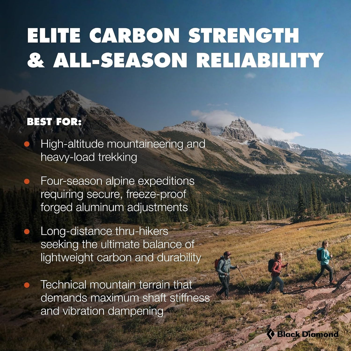 BLACK DIAMOND Alpine Carbon Cork Hiking Trekking Poles, Pair, Tundra