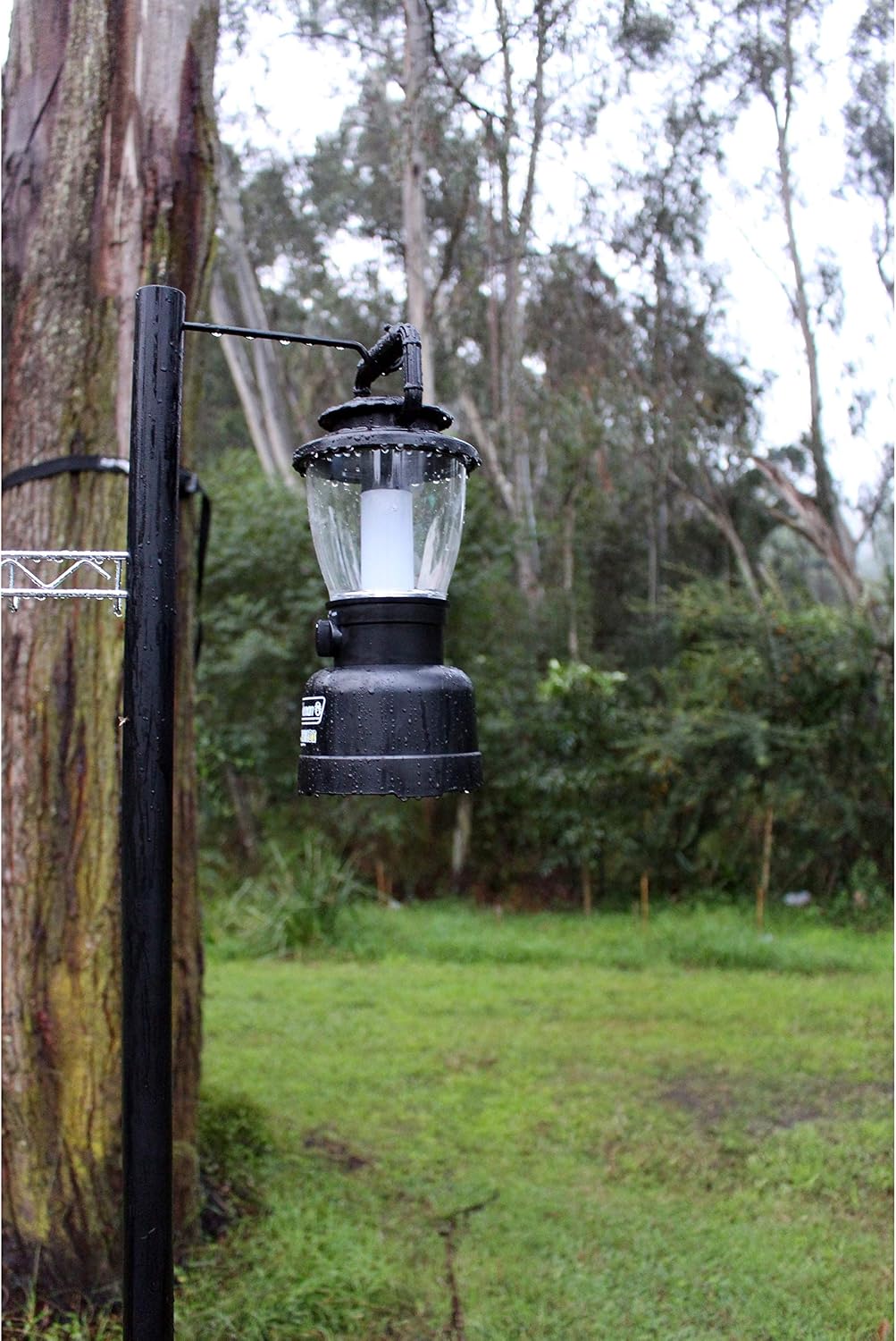 Coleman Rugged Rechargeable 400 Lumens LED Lantern, Impact & Water-Resistant Lantern with USB Charging Port, Lifetime LEDs Never Need Replacing