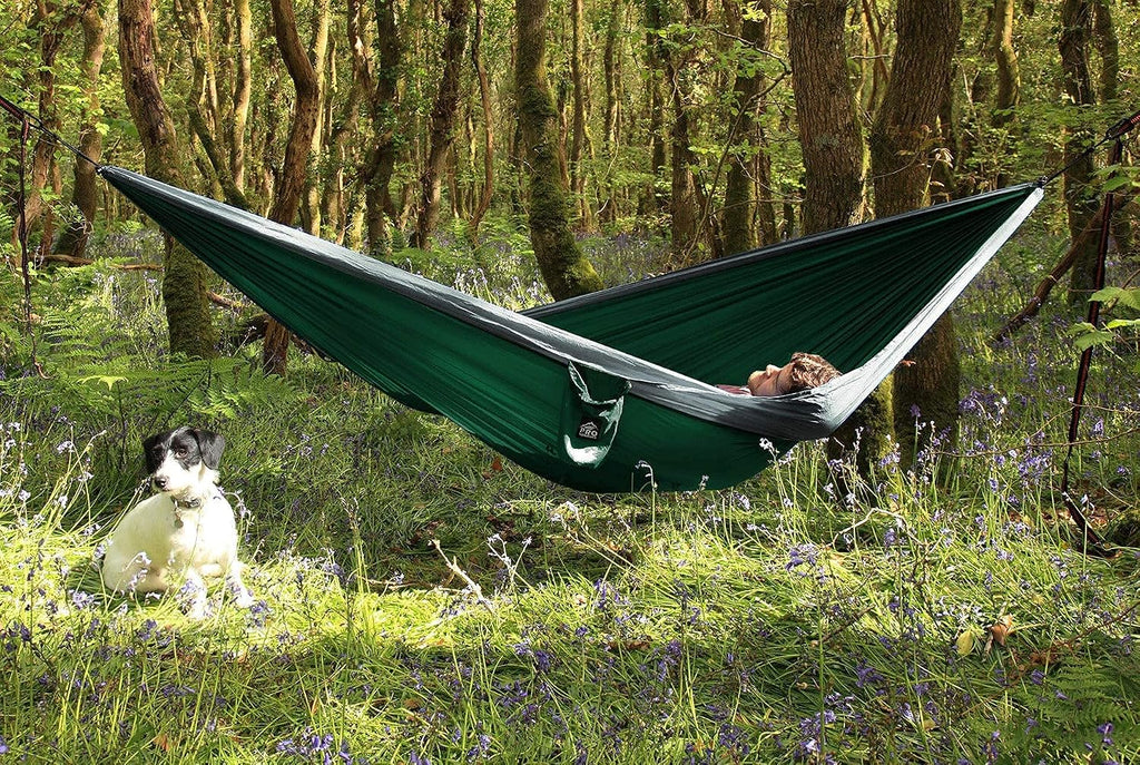 Camping Hammock 500 lb Capacity – Portable Double Hammock with Tree-Friendly Straps and Carabiners, Lightweight for Backpacking, Hiking, Travel, Beach, Backyard