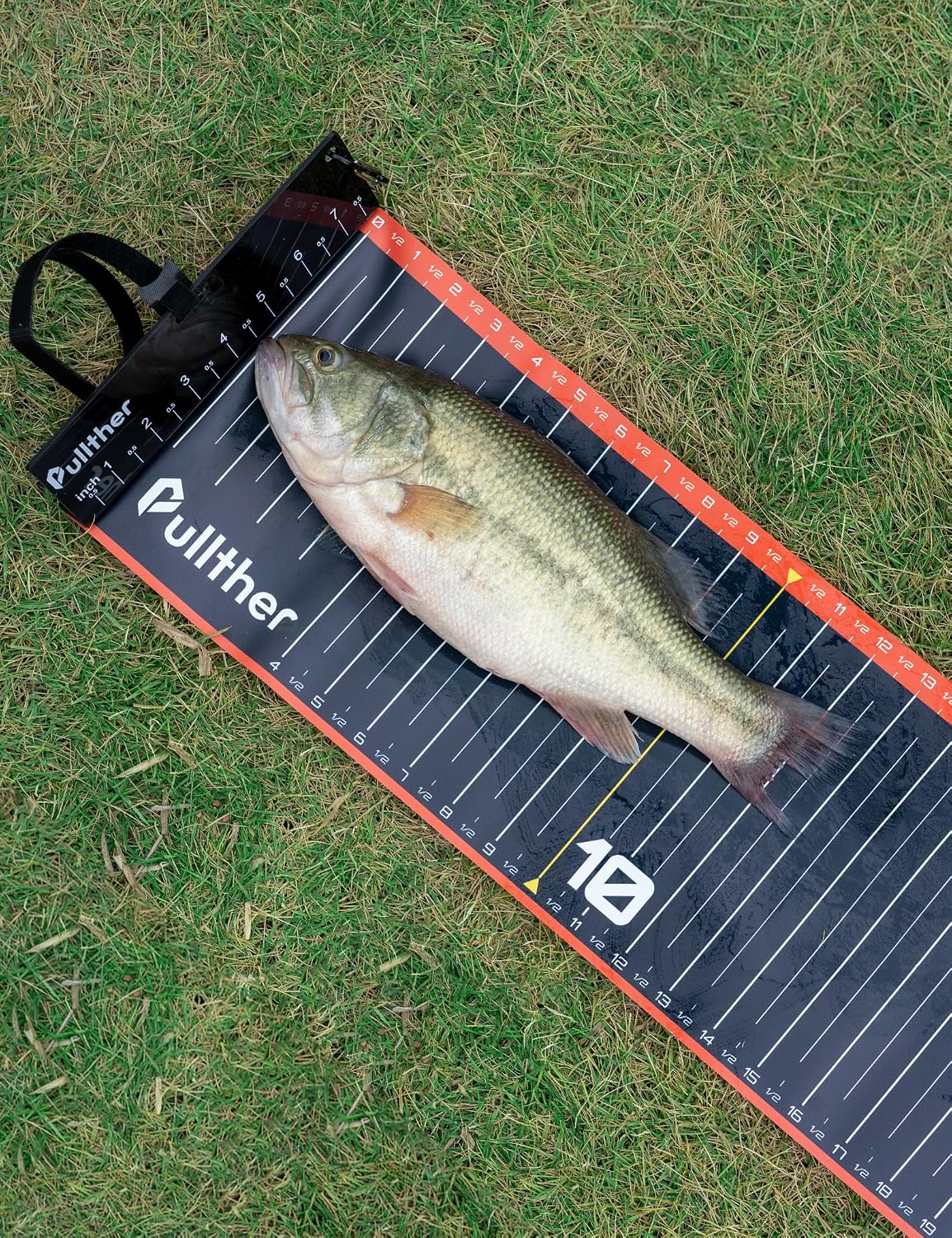 53in Fish Ruler,Fish Measuring Tape,Fishing Ruler