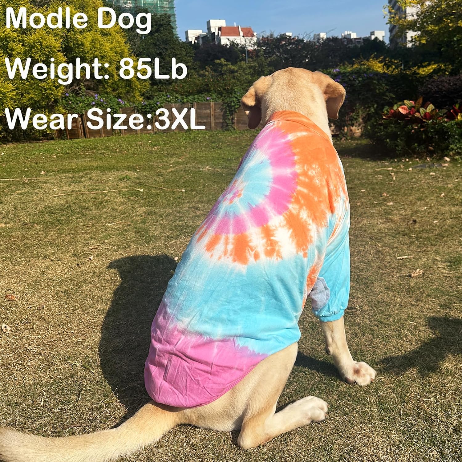 Dog Cotton Colorful Pink Orange T-Shirts Soft and Stretchy Dog Shirt Pajamas Pets Clothes for Extra Large Dogs(3XL PinkOrange)