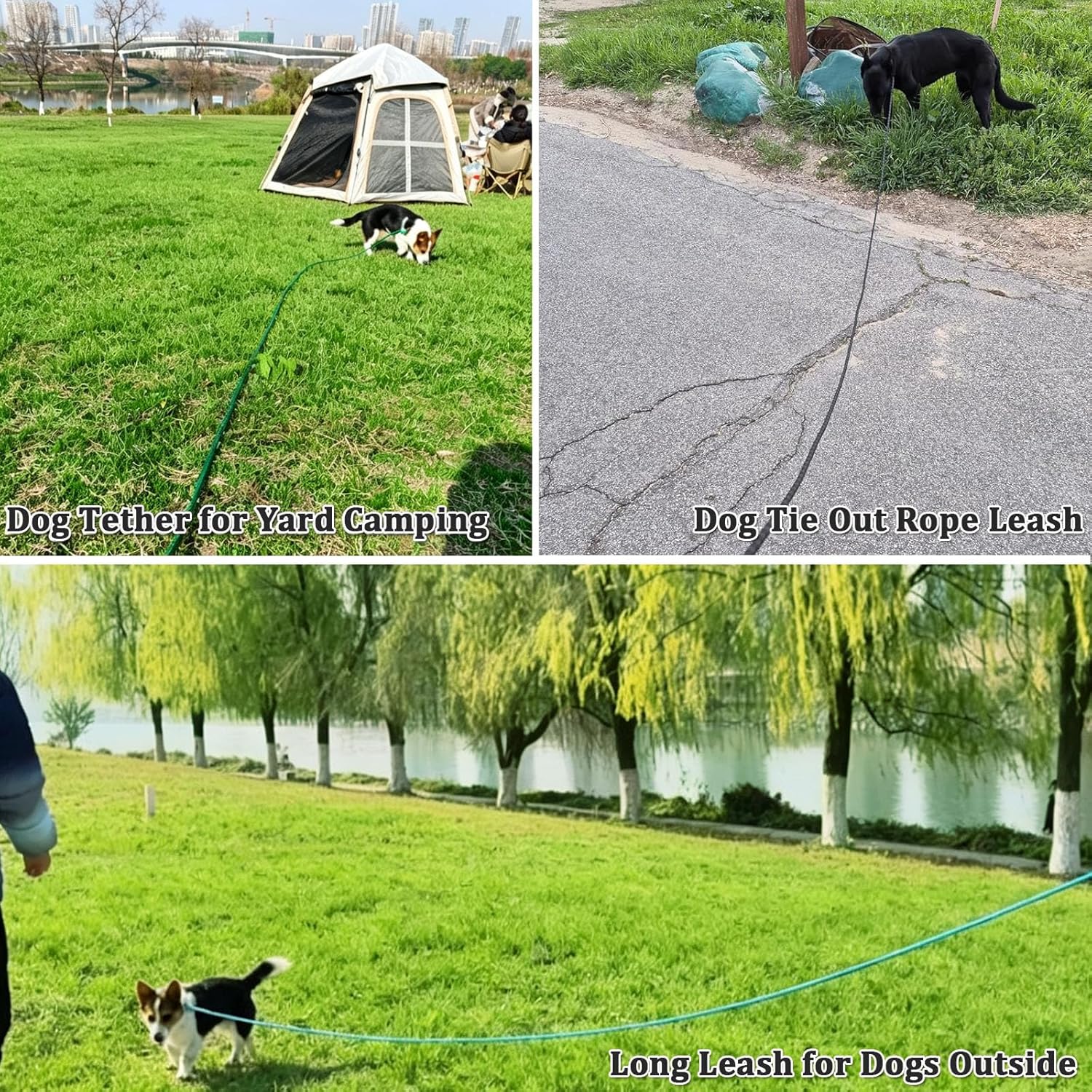 WYuZe Reflective Tie Out Rope for Small Dogs Cats 30FT Dog Tether for Yard