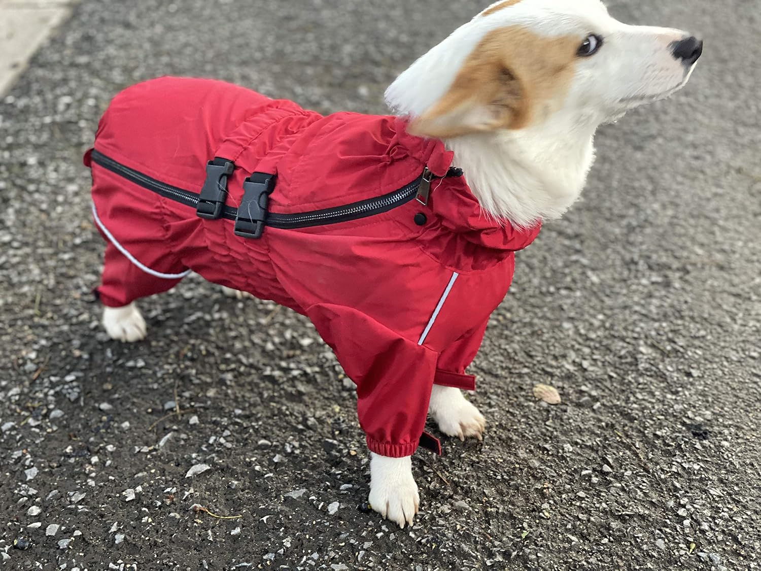 Lovelonglong Waterproof Dog Raincoat – 4-Leg Full Body Dog Rain Suit with Reflective Strips & Leash Opening, Outdoor Dog Jacket for Rainy Weather