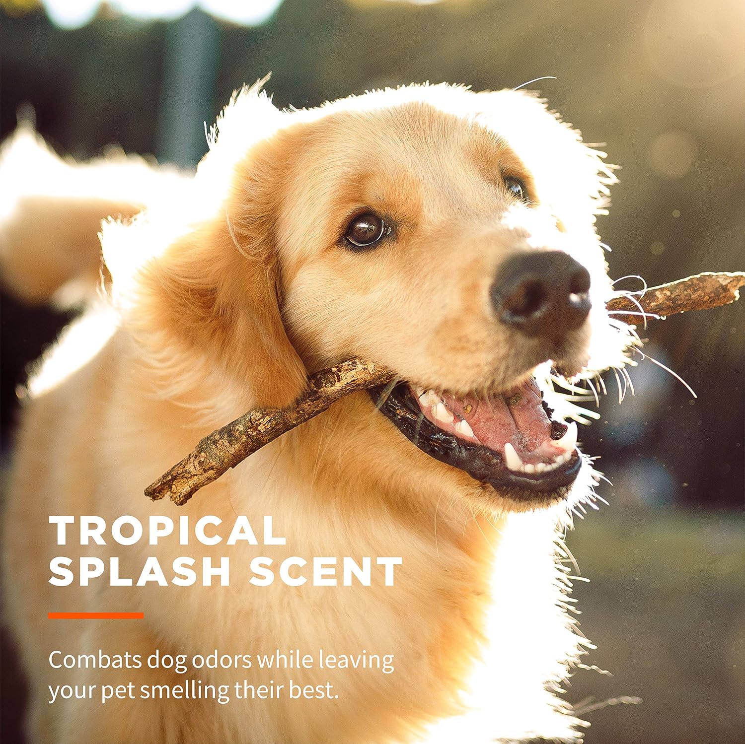 Wet Ones for Pets Multipurpose Dog Wipes, Tropical Splash, 100 Count, 3-Pk