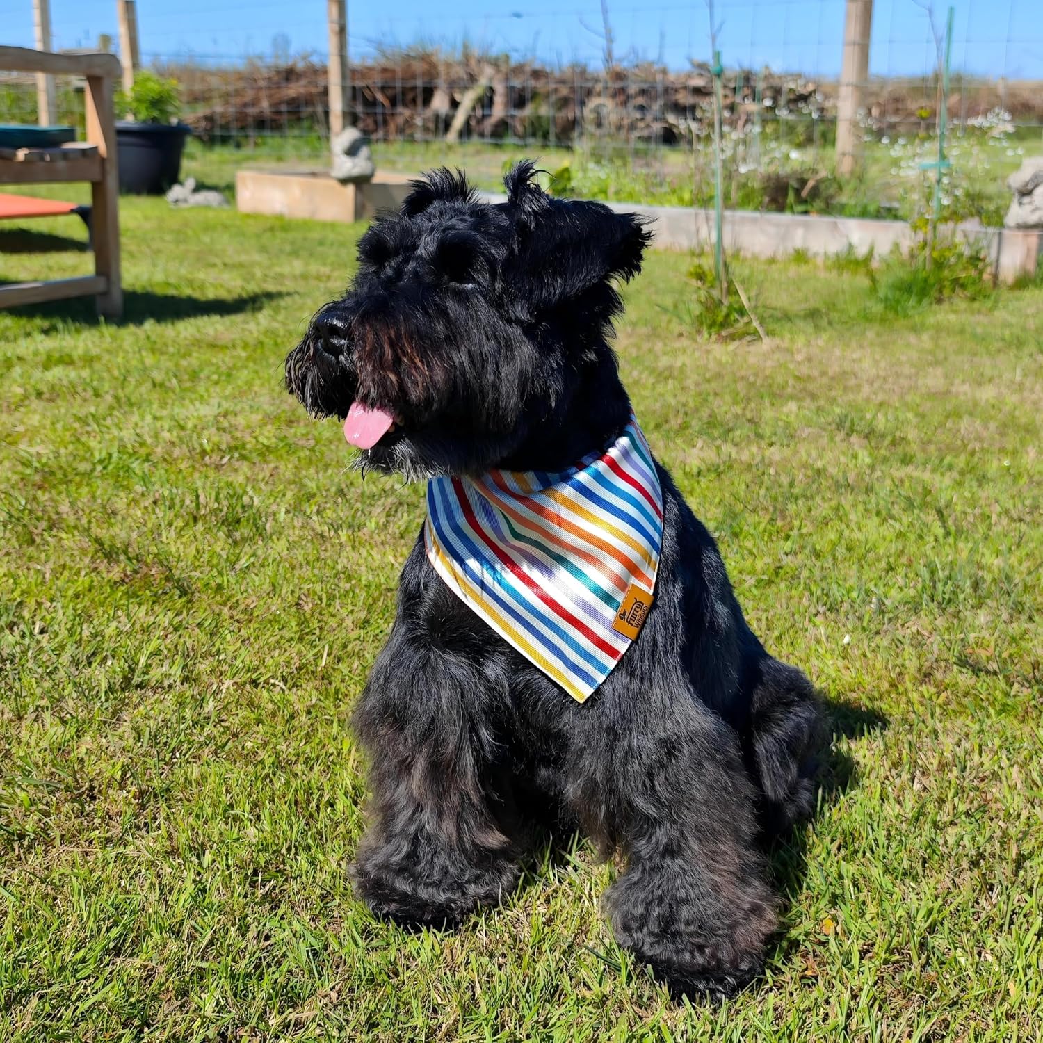 Dog Birthday Bandana, Reversible Soft Breathable Adjustable Pet Scarf for Medium & Large Dogs, Party Photo Outfit for Boy or Girl, Sprinkle and Stripe, Medium Fits Up to 18"