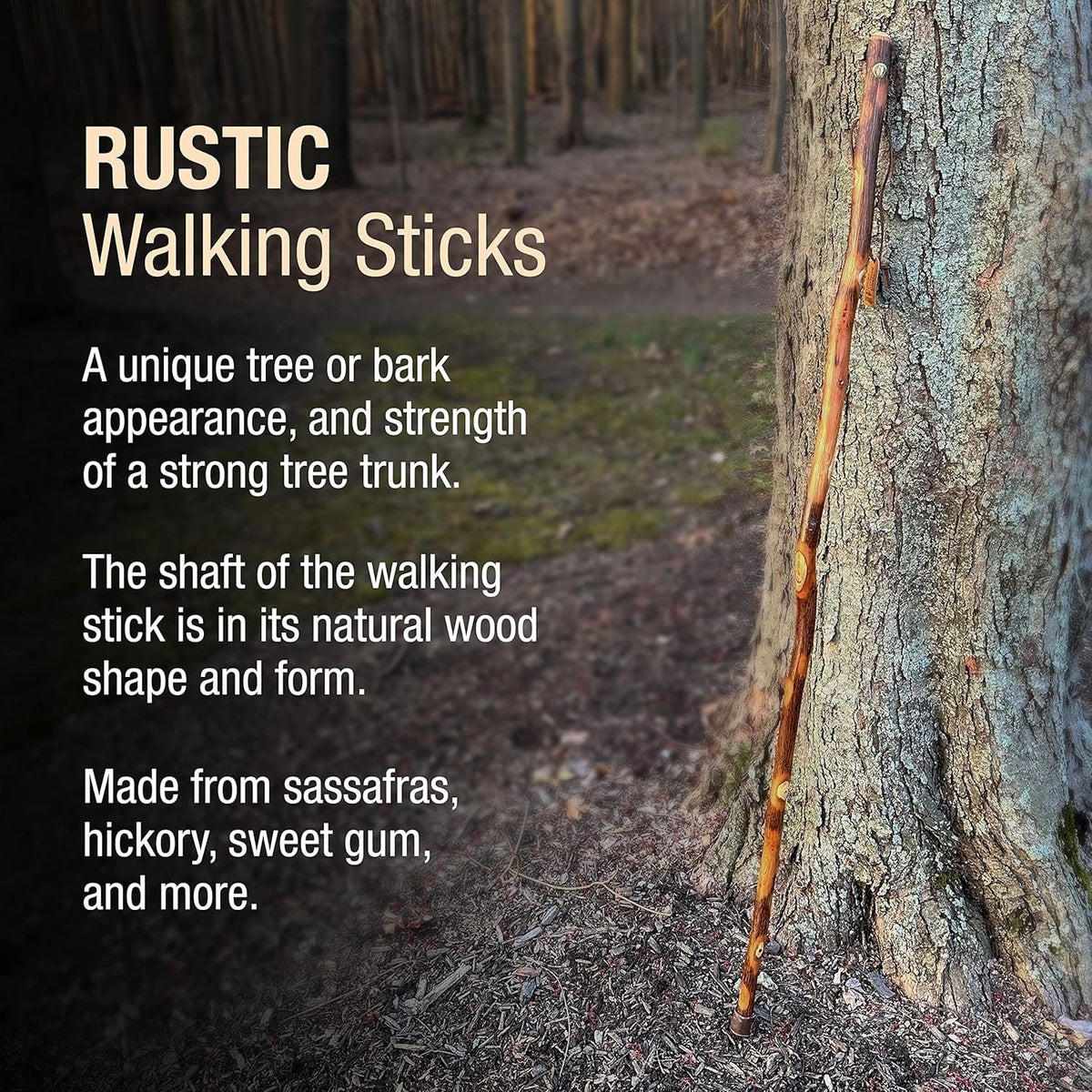 Brazos Rustic Wood Walking Stick, Hickory, Traditional Style Handle, for Men & Women, Made in The USA