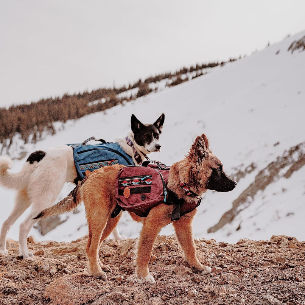 Widlerdog Dog Backpack with Built in Harness and Back-Mounted D-Ring Leash Attachment, Handle, Two Saddlebags with 4 Total Pockets, Built in Poop Bag Dispenser (Seafoam Green, Medium)