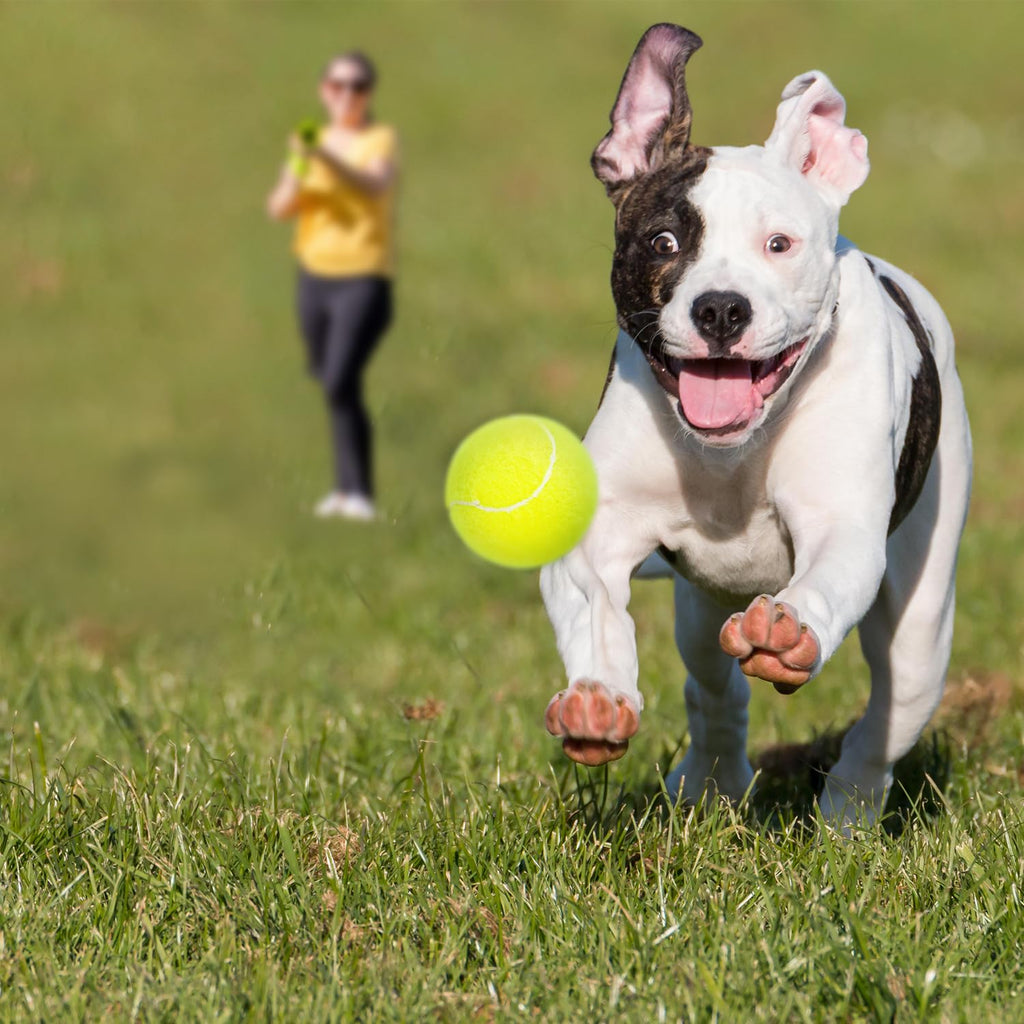 BESTHLS 2inch Pet Toy Tennis Ball for Puppy Fetching Exercise & Training